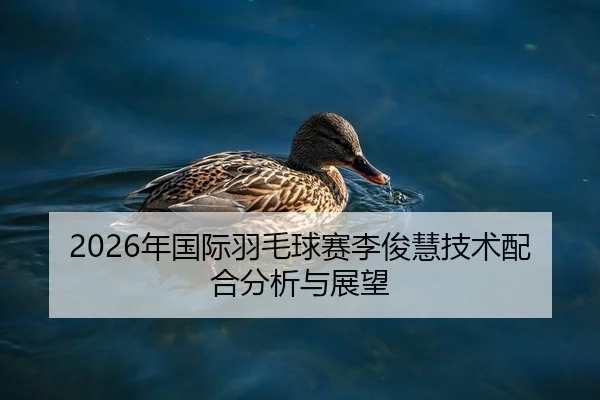 2026年国际羽毛球赛李俊慧技术配合分析与展望
