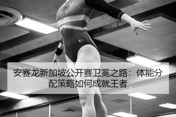 an-sai-long-xin-jia-po-gong-kai-sai-wei-mian-zhi-lu-ti-neng-fen-pei-ce-lve-ru-he-cheng-jiu-wang-zhe-2-525.jpg