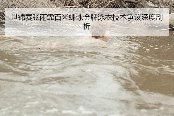 世锦赛张雨霏百米蝶泳金牌泳衣技术争议深度剖析